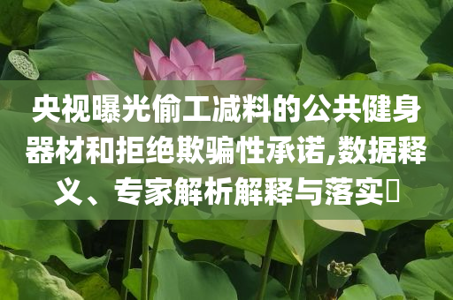 央視曝光偷工減料的公共健身器材和拒絕欺騙性承諾,數(shù)據(jù)釋義、專家解析解釋與落實(shí)?