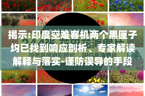揭示:印度空難客機兩個黑匣子均已找到響應剖析、專家解讀解釋與落實-謹防誤導的手段