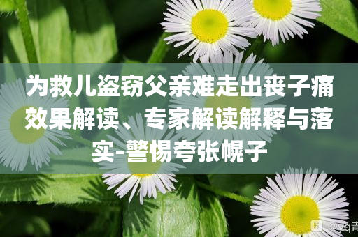 為救兒盜竊父親難走出喪子痛效果解讀、專家解讀解釋與落實-警惕夸張幌子