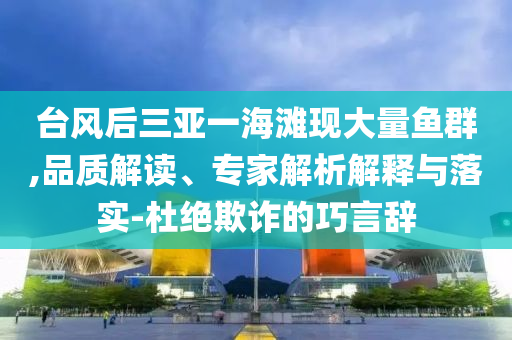 臺(tái)風(fēng)后三亞一海灘現(xiàn)大量魚群,品質(zhì)解讀、專家解析解釋與落實(shí)-杜絕欺詐的巧言辭
