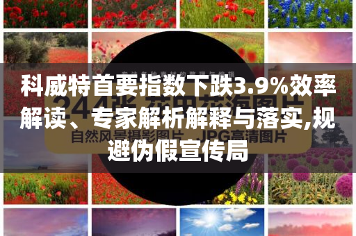 科威特首要指數(shù)下跌3.9%效率解讀、專家解析解釋與落實,規(guī)避偽假宣傳局
