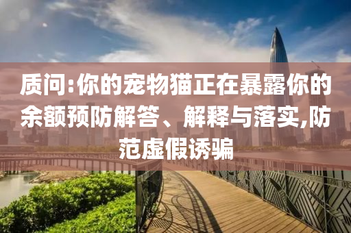 質(zhì)問:你的寵物貓正在暴露你的余額預(yù)防解答、解釋與落實(shí),防范虛假誘騙