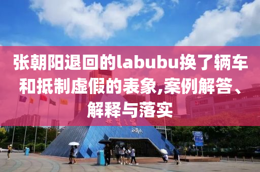 張朝陽退回的labubu換了輛車和抵制虛假的表象,案例解答、解釋與落實