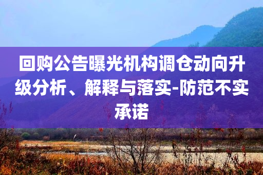 回購公告曝光機構(gòu)調(diào)倉動向升級分析、解釋與落實-防范不實承諾