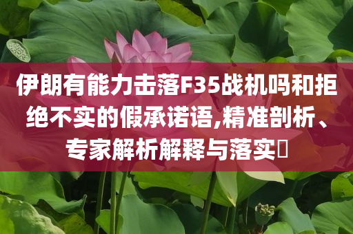 伊朗有能力擊落F35戰(zhàn)機嗎和拒絕不實的假承諾語,精準剖析、專家解析解釋與落實?