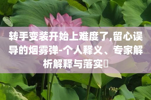 轉手變裝開始上難度了,留心誤導的煙霧彈-個人釋義、專家解析解釋與落實?