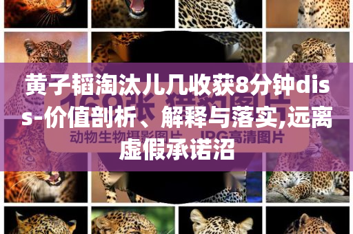 黃子韜淘汰兒幾收獲8分鐘diss-價值剖析、解釋與落實,遠離虛假承諾沼