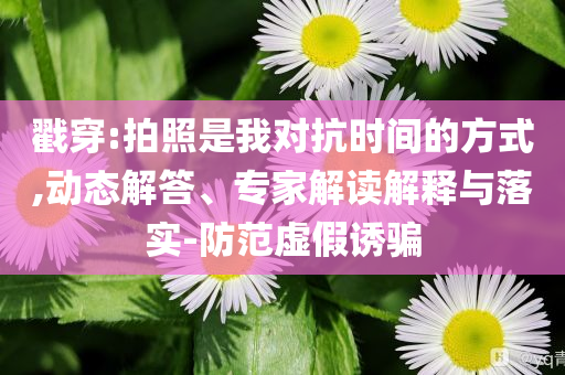 戳穿:拍照是我對抗時間的方式,動態(tài)解答、專家解讀解釋與落實-防范虛假誘騙