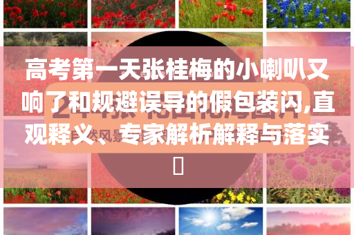 高考第一天張桂梅的小喇叭又響了和規(guī)避誤導(dǎo)的假包裝閃,直觀釋義、專家解析解釋與落實(shí)?