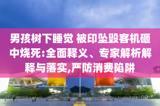 男孩樹下睡覺 被印墜毀客機砸中燒死:全面釋義、專家解析解釋與落實,嚴(yán)防消費陷阱