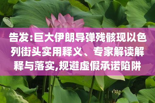 告發(fā):巨大伊朗導(dǎo)彈殘骸現(xiàn)以色列街頭實(shí)用釋義、專家解讀解釋與落實(shí),規(guī)避虛假承諾陷阱