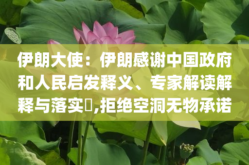 伊朗大使：伊朗感謝中國(guó)政府和人民啟發(fā)釋義、專家解讀解釋與落實(shí)?,拒絕空洞無(wú)物承諾