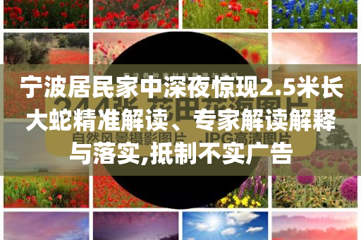 寧波居民家中深夜驚現(xiàn)2.5米長(zhǎng)大蛇精準(zhǔn)解讀、專家解讀解釋與落實(shí),抵制不實(shí)廣告