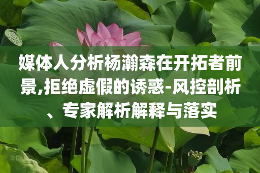 媒體人分析楊瀚森在開拓者前景,拒絕虛假的誘惑-風(fēng)控剖析、專家解析解釋與落實(shí)