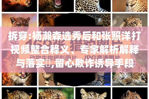 拆穿:楊瀚森選秀后和張照洋打視頻整合釋義、專家解析解釋與落實?,留心欺詐誘導手段