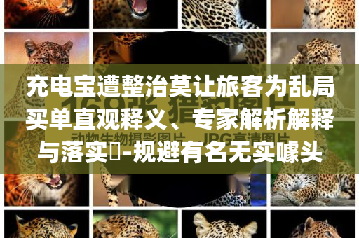 充電寶遭整治莫讓旅客為亂局買單直觀釋義、專家解析解釋與落實?-規(guī)避有名無實噱頭