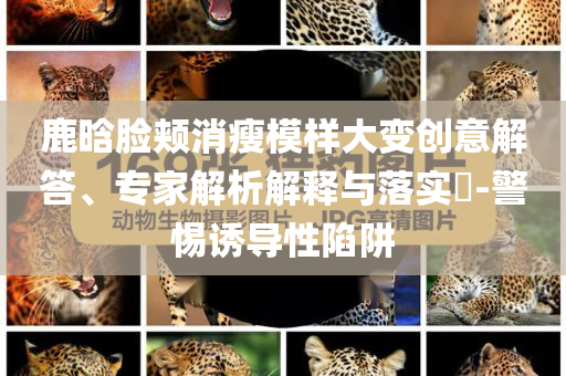 鹿晗臉頰消瘦模樣大變創(chuàng)意解答、專家解析解釋與落實?-警惕誘導性陷阱