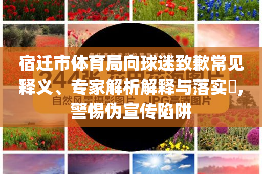 宿遷市體育局向球迷致歉常見釋義、專家解析解釋與落實?,警惕偽宣傳陷阱