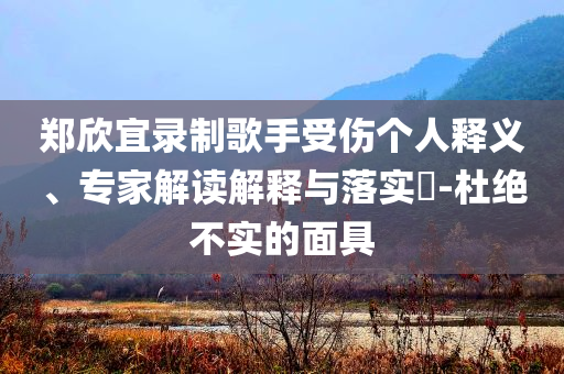 鄭欣宜錄制歌手受傷個(gè)人釋義、專(zhuān)家解讀解釋與落實(shí)?-杜絕不實(shí)的面具