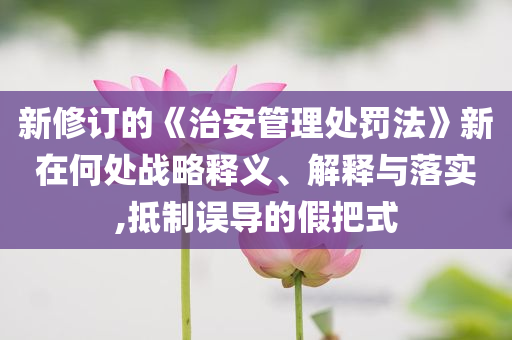新修訂的《治安管理處罰法》新在何處戰(zhàn)略釋義、解釋與落實(shí),抵制誤導(dǎo)的假把式