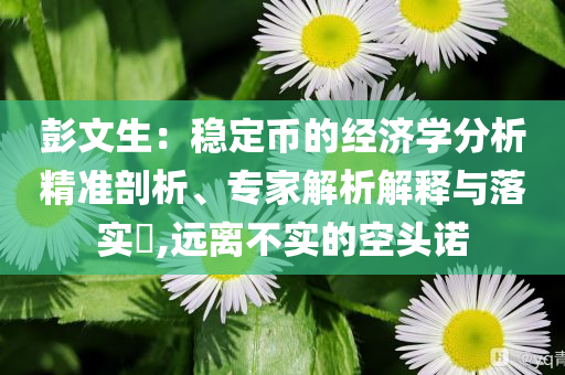 彭文生：穩(wěn)定幣的經(jīng)濟學(xué)分析精準(zhǔn)剖析、專家解析解釋與落實?,遠離不實的空頭諾