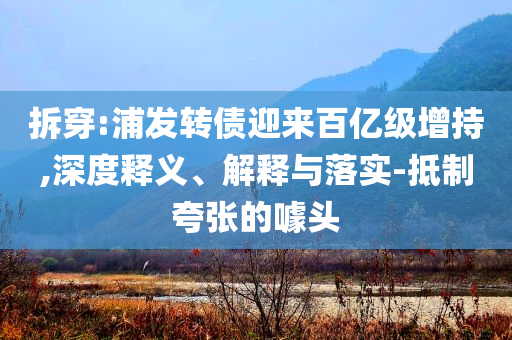拆穿:浦發(fā)轉債迎來百億級增持,深度釋義、解釋與落實-抵制夸張的噱頭