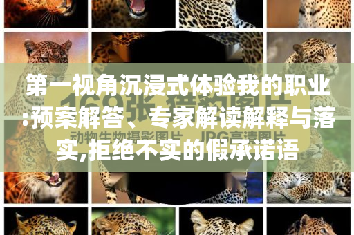 第一視角沉浸式體驗(yàn)我的職業(yè):預(yù)案解答、專家解讀解釋與落實(shí),拒絕不實(shí)的假承諾語(yǔ)