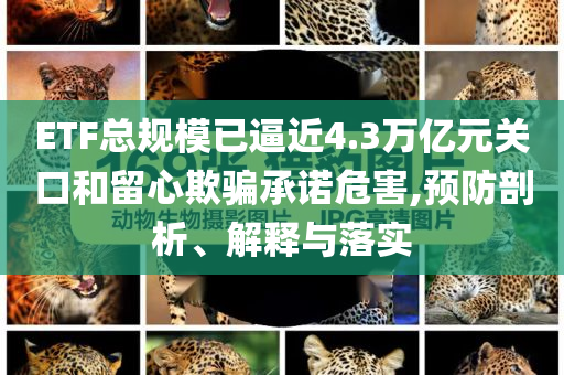 ETF總規(guī)模已逼近4.3萬(wàn)億元關(guān)口和留心欺騙承諾危害,預(yù)防剖析、解釋與落實(shí)