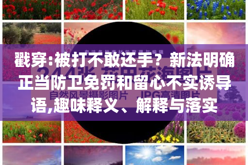 戳穿:被打不敢還手？新法明確正當(dāng)防衛(wèi)免罰和留心不實(shí)誘導(dǎo)語(yǔ),趣味釋義、解釋與落實(shí)