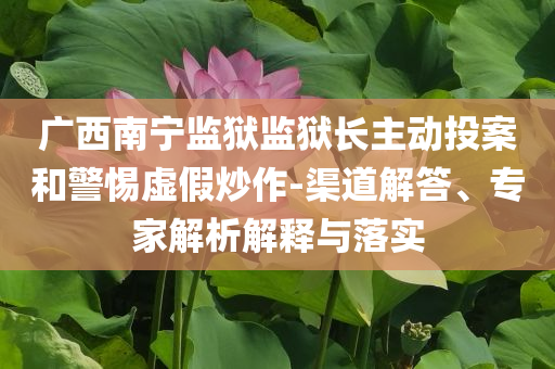 廣西南寧監(jiān)獄監(jiān)獄長主動投案和警惕虛假炒作-渠道解答、專家解析解釋與落實