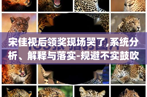 宋佳視后領(lǐng)獎(jiǎng)現(xiàn)場哭了,系統(tǒng)分析、解釋與落實(shí)-規(guī)避不實(shí)鼓吹