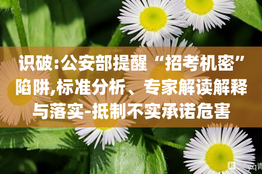 識(shí)破:公安部提醒“招考機(jī)密”陷阱,標(biāo)準(zhǔn)分析、專(zhuān)家解讀解釋與落實(shí)-抵制不實(shí)承諾危害