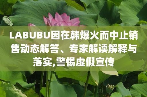LABUBU因在韓爆火而中止銷售動態(tài)解答、專家解讀解釋與落實(shí),警惕虛假宣傳