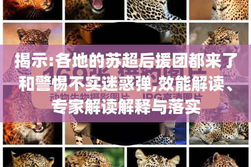 揭示:各地的蘇超后援團(tuán)都來(lái)了和警惕不實(shí)迷惑彈,效能解讀、專家解讀解釋與落實(shí)