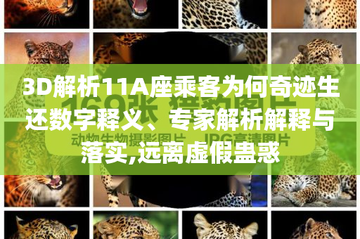3D解析11A座乘客為何奇跡生還數(shù)字釋義、專家解析解釋與落實(shí),遠(yuǎn)離虛假蠱惑