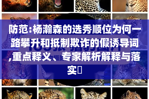 防范:楊瀚森的選秀順位為何一路攀升和抵制欺詐的假誘導(dǎo)詞,重點(diǎn)釋義、專家解析解釋與落實(shí)?
