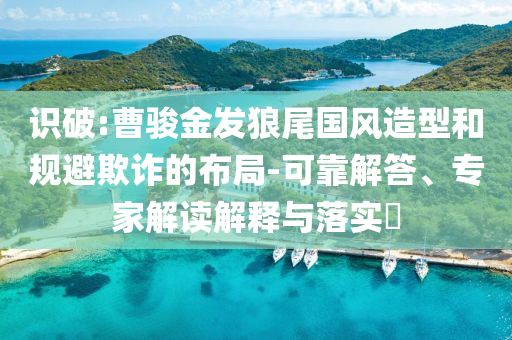 識(shí)破:曹駿金發(fā)狼尾國(guó)風(fēng)造型和規(guī)避欺詐的布局-可靠解答、專家解讀解釋與落實(shí)?