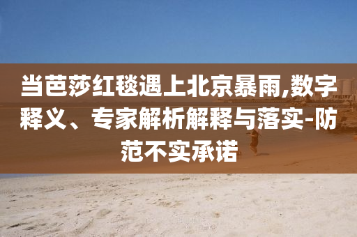 當(dāng)芭莎紅毯遇上北京暴雨,數(shù)字釋義、專(zhuān)家解析解釋與落實(shí)-防范不實(shí)承諾