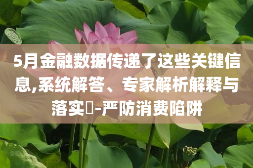 5月金融數(shù)據(jù)傳遞了這些關(guān)鍵信息,系統(tǒng)解答、專家解析解釋與落實(shí)?-嚴(yán)防消費(fèi)陷阱