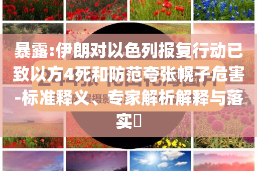 暴露:伊朗對以色列報復(fù)行動已致以方4死和防范夸張幌子危害-標(biāo)準(zhǔn)釋義、專家解析解釋與落實?
