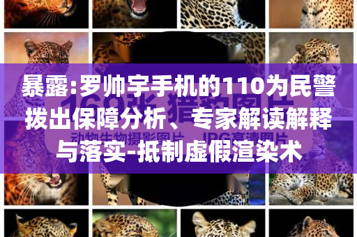 暴露:羅帥宇手機的110為民警撥出保障分析、專家解讀解釋與落實-抵制虛假渲染術
