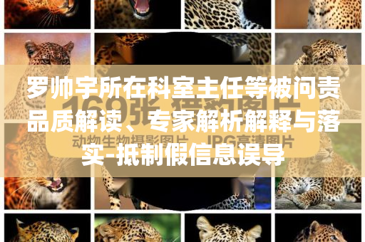 羅帥宇所在科室主任等被問責(zé)品質(zhì)解讀、專家解析解釋與落實-抵制假信息誤導(dǎo)