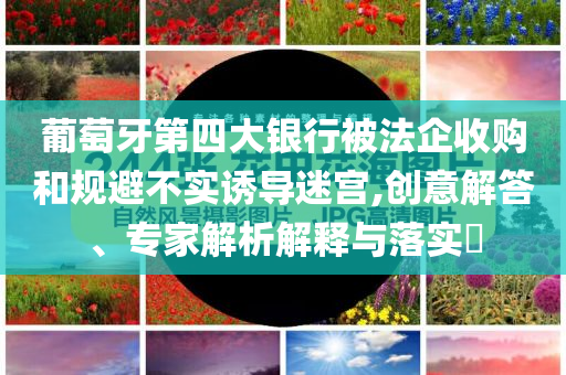 葡萄牙第四大銀行被法企收購和規(guī)避不實(shí)誘導(dǎo)迷宮,創(chuàng)意解答、專家解析解釋與落實(shí)?