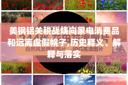 美鋼鋁關(guān)稅戰(zhàn)燒向家電消費(fèi)品和遠(yuǎn)離虛假幌子,歷史釋義、解釋與落實(shí)