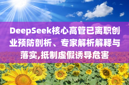 DeepSeek核心高管已離職創(chuàng)業(yè)預(yù)防剖析、專家解析解釋與落實(shí),抵制虛假誘導(dǎo)危害
