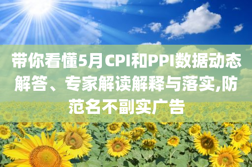 帶你看懂5月CPI和PPI數(shù)據(jù)動態(tài)解答、專家解讀解釋與落實,防范名不副實廣告