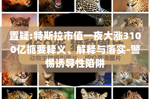 置疑:特斯拉市值一夜大漲3100億扼要釋義、解釋與落實-警惕誘導性陷阱