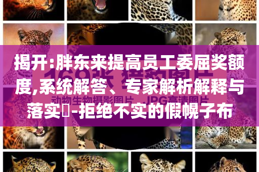 揭開:胖東來提高員工委屈獎額度,系統(tǒng)解答、專家解析解釋與落實?-拒絕不實的假幌子布