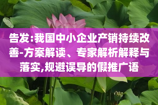 告發(fā):我國中小企業(yè)產(chǎn)銷持續(xù)改善-方案解讀、專家解析解釋與落實,規(guī)避誤導的假推廣語