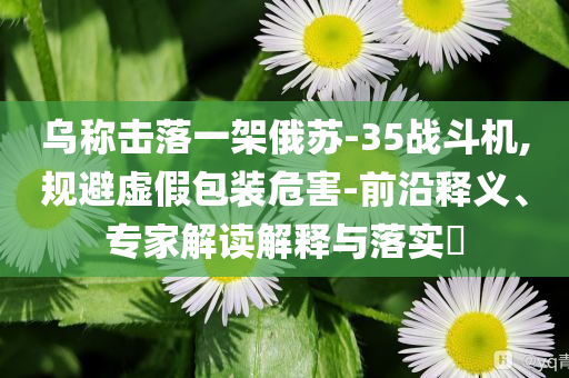 烏稱擊落一架俄蘇-35戰(zhàn)斗機(jī),規(guī)避虛假包裝危害-前沿釋義、專家解讀解釋與落實(shí)?